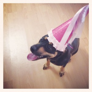 Ellie parties like a princess for her birthday, photo courtesy of Brittiany Bridges. 
