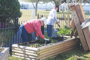 Volunteers participate in a past Park Day to enhance the NC Maritime Museum at Southport. Courtesy photo