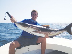 Nic Reschly caught this 38-lb. cobia with a live pogie while fishing with Capt. Alan Beasley in May. Courtesy photo