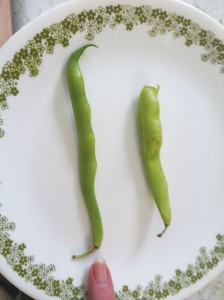 3.  Green Beans  Where to buy: Grocery stores and roadside produce markets or farms What to look for: Bright green in color. Length does not matter. What you want is a slim bean, no bigger than the diameter of your pinky. Green beans tend to lighten as they age. Don't buy if: The diameter is bigger than your pointer finger and their color is pale, light green. Or the tips are shriveled and brown. Best way to cook: Place the clean beans in a pot. Cover with chicken broth or water. Salt to taste. If you use water, pour one tablespoon of oil (any kind of oil will do). Cover and bring to a boil. Reduce heat and simmer for 45 minutes to an hour.