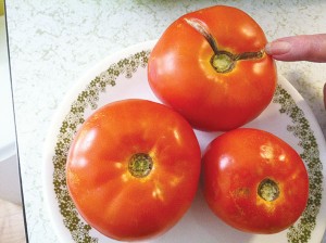 6.  Tomatoes  Where to buy: Roadside produce markets or farms What to look for: Bigger is better.  Uniformed red color.  Don't buy if: Soft or dark spots. The skin is split. How to prepare: Slice and eat fresh with salt and pepper.