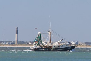 Caswell Beach (2)